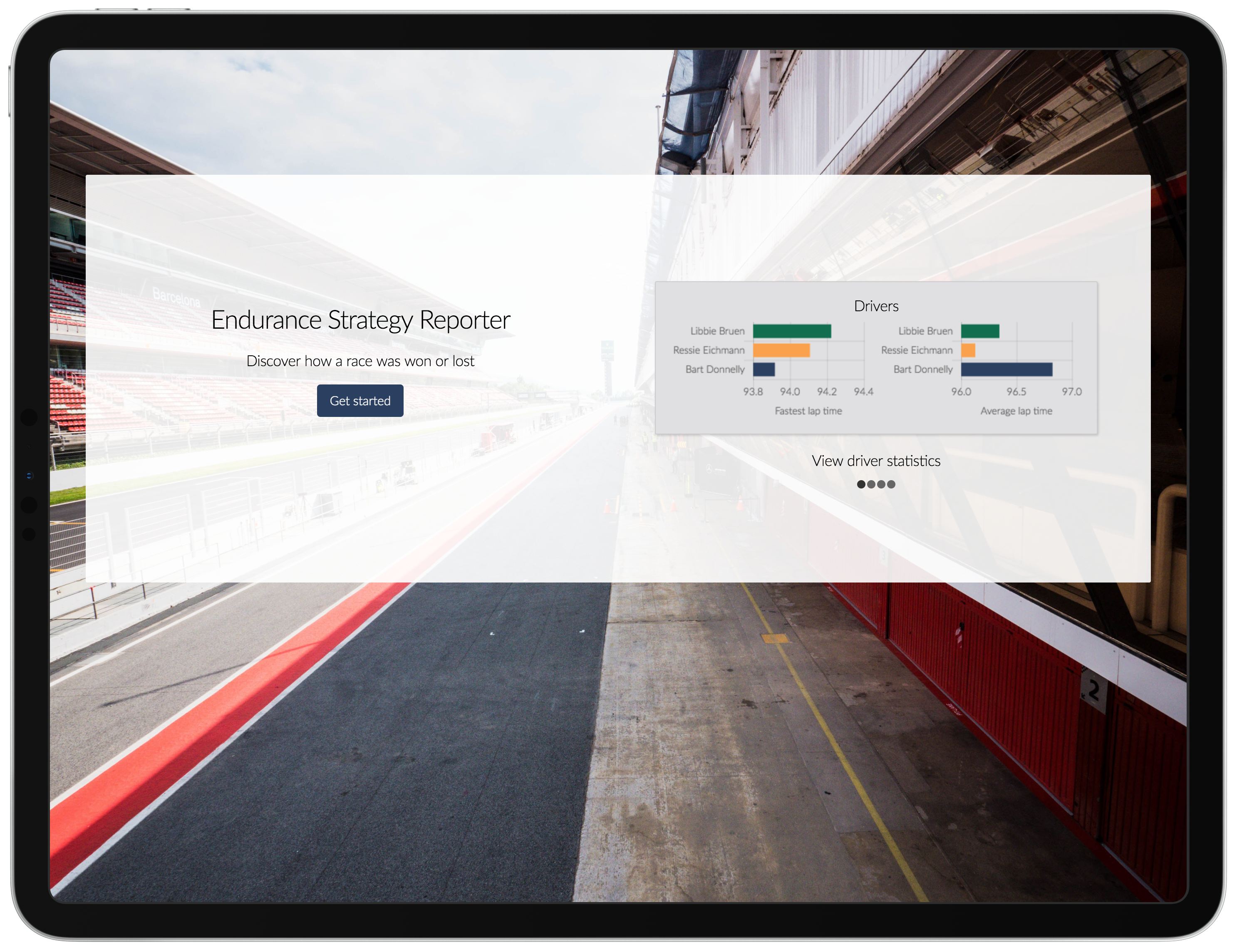 Screenshot of Endurance Strategy Project